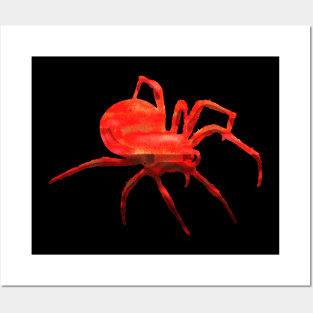 Ruby Spider Posters and Art